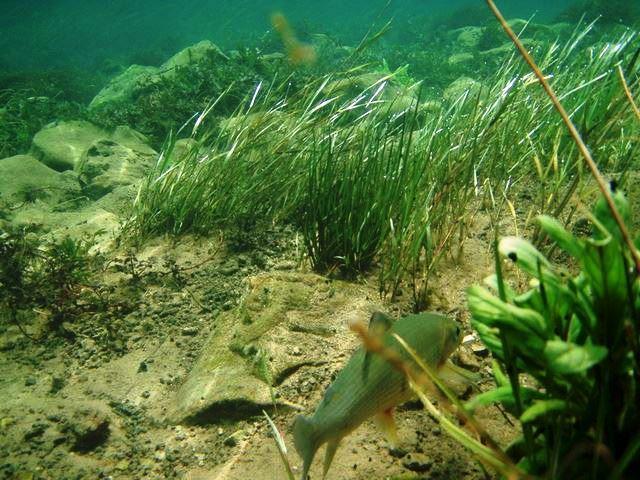 Una Canyon Paradise Bihać エクステリア 写真
