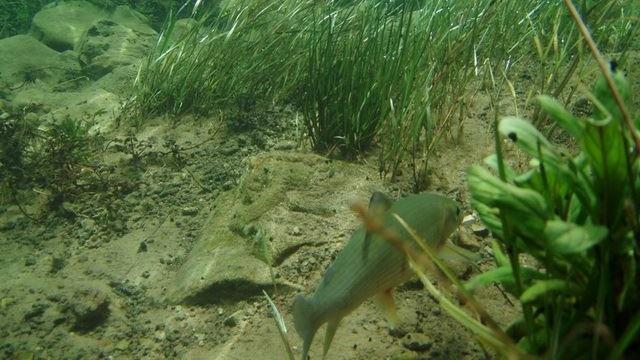 Una Canyon Paradise Bihać エクステリア 写真
